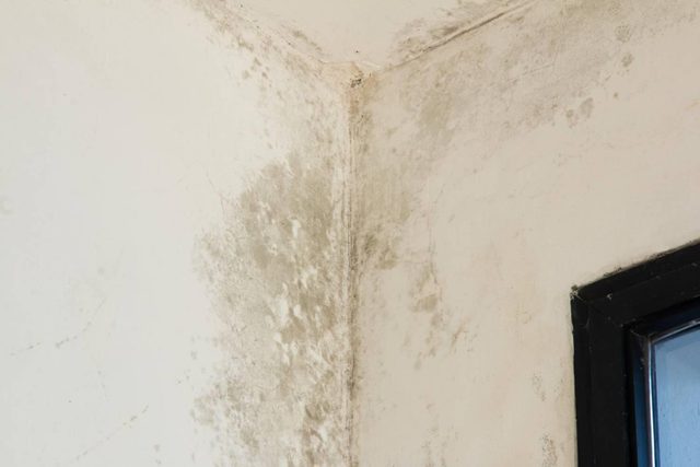 Le séchage : une étape essentielle avant les travaux de peinture dans Paris (75)